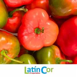 ROCOTO FRESCO X KILO 